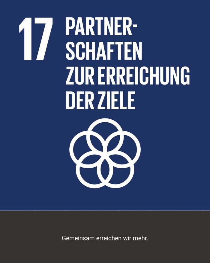 SDG 17 – Partnerschaften zur Erreichung der Ziele